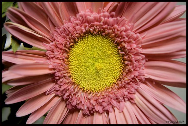 Image Hosted by ImageShack.us